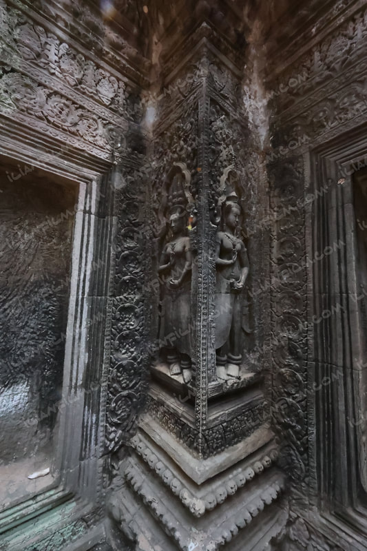 Ta Prohm, Angkor Wat, Cambodia