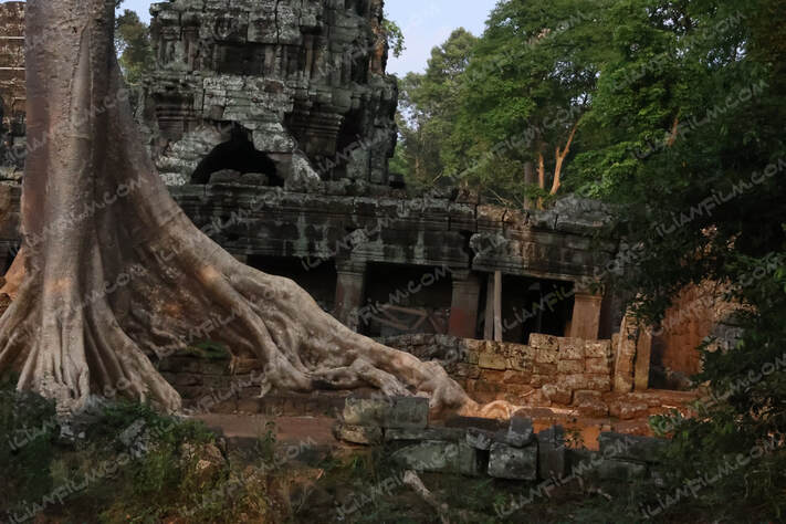 Banteay Kdei, Angkor Wat, Cambodia