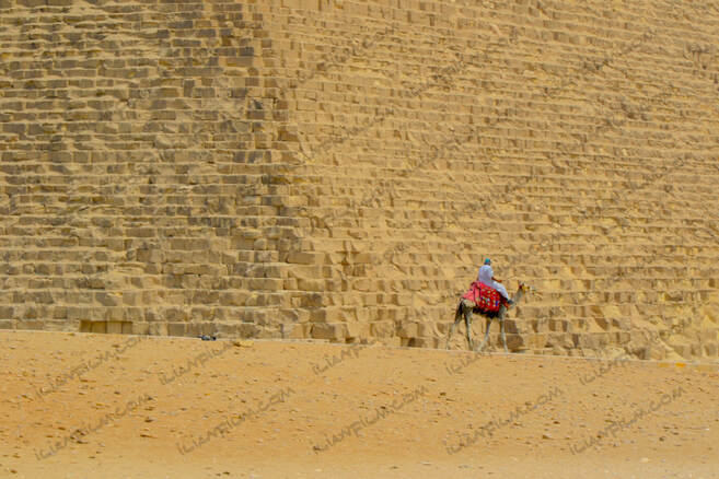 Camel rider by the Great pyramid