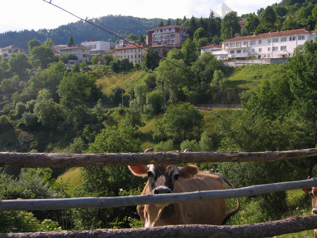 Slaveino village in Bulgaria