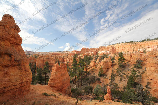 Sunrise point in Bryce canyon